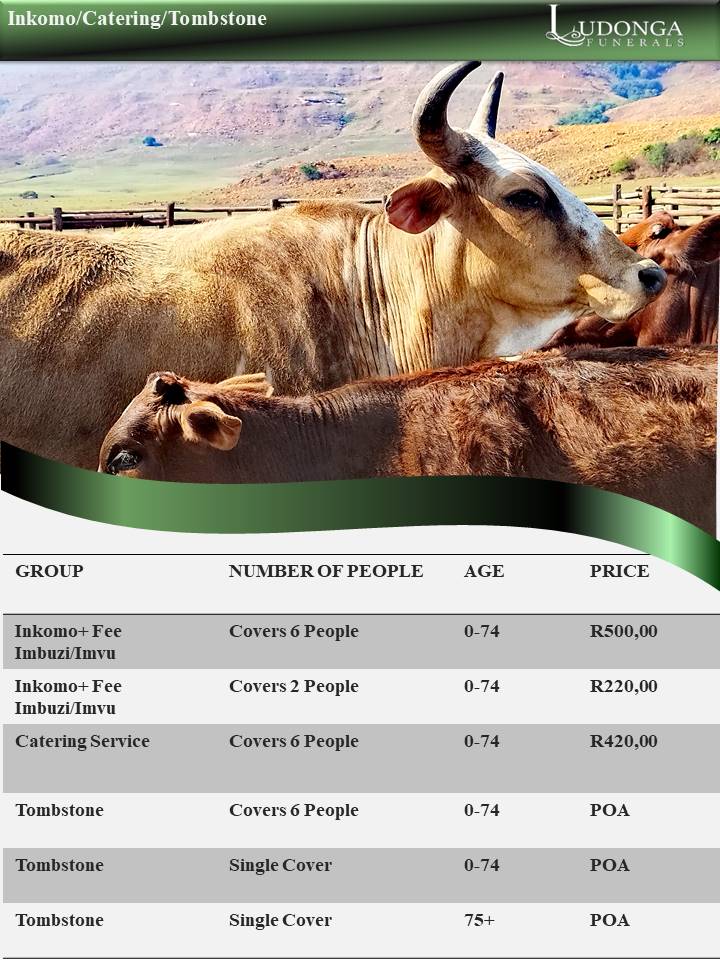 Brochure July 2025 Single Inkomo Brochure July 2025 Single Inkomo